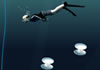 Pearl Diver