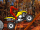 Quad Extreme Racer